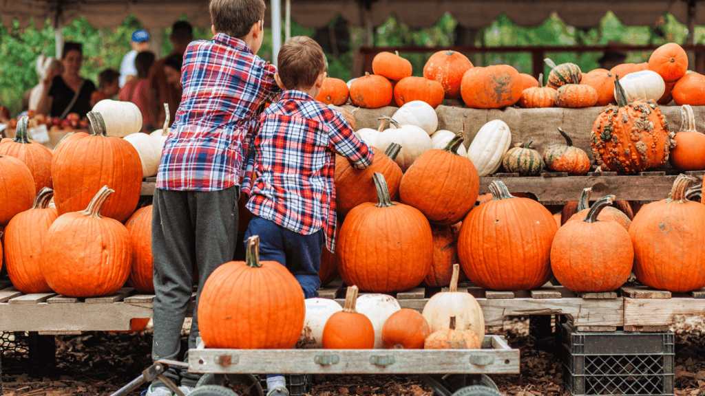 Family Friendly Pumpkin Festivals