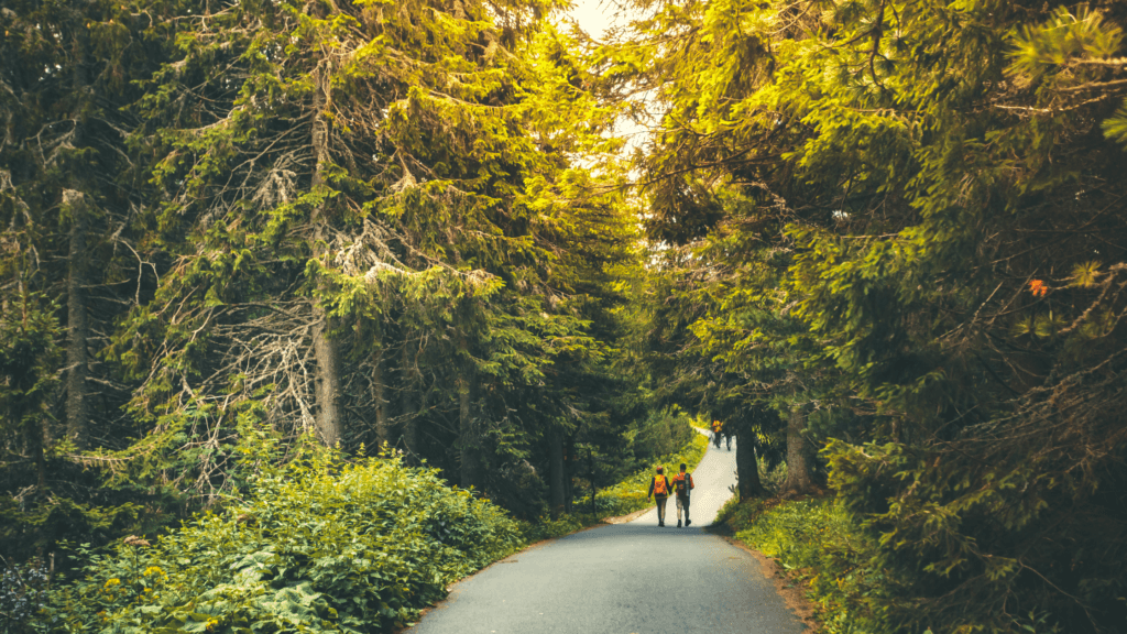 Scenic Fall Foliage Hikes